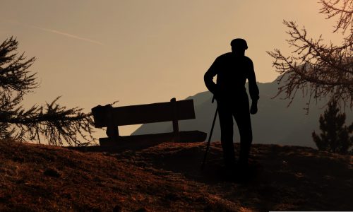 noname_13-viewpoint-3707997